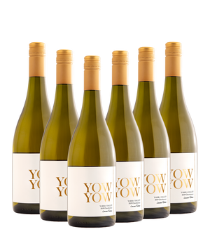 2019 Chardonnay Case | Yow Yow